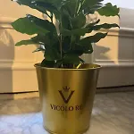 Vicolo Re In Centro Con Stile Apartman